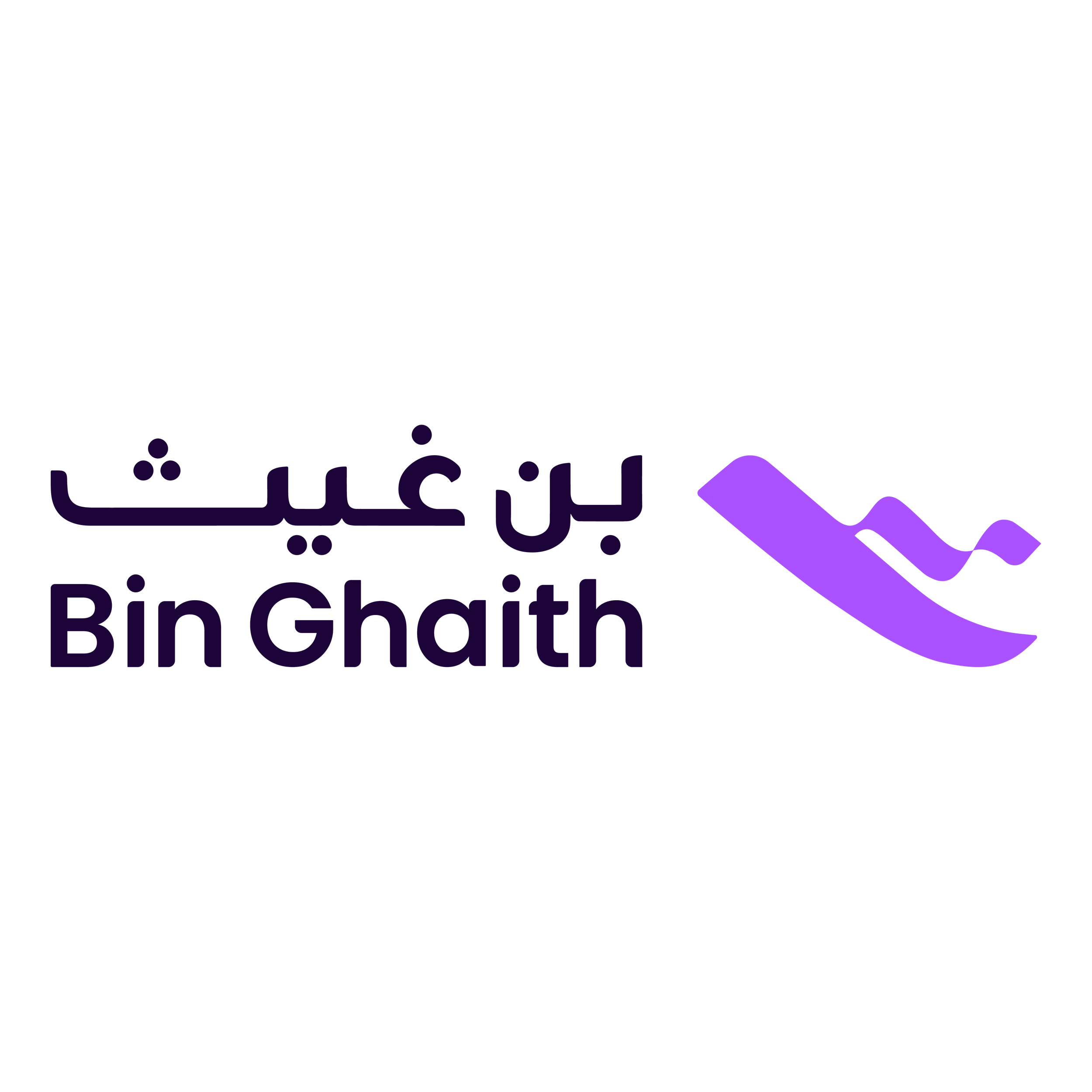Bin Ghais