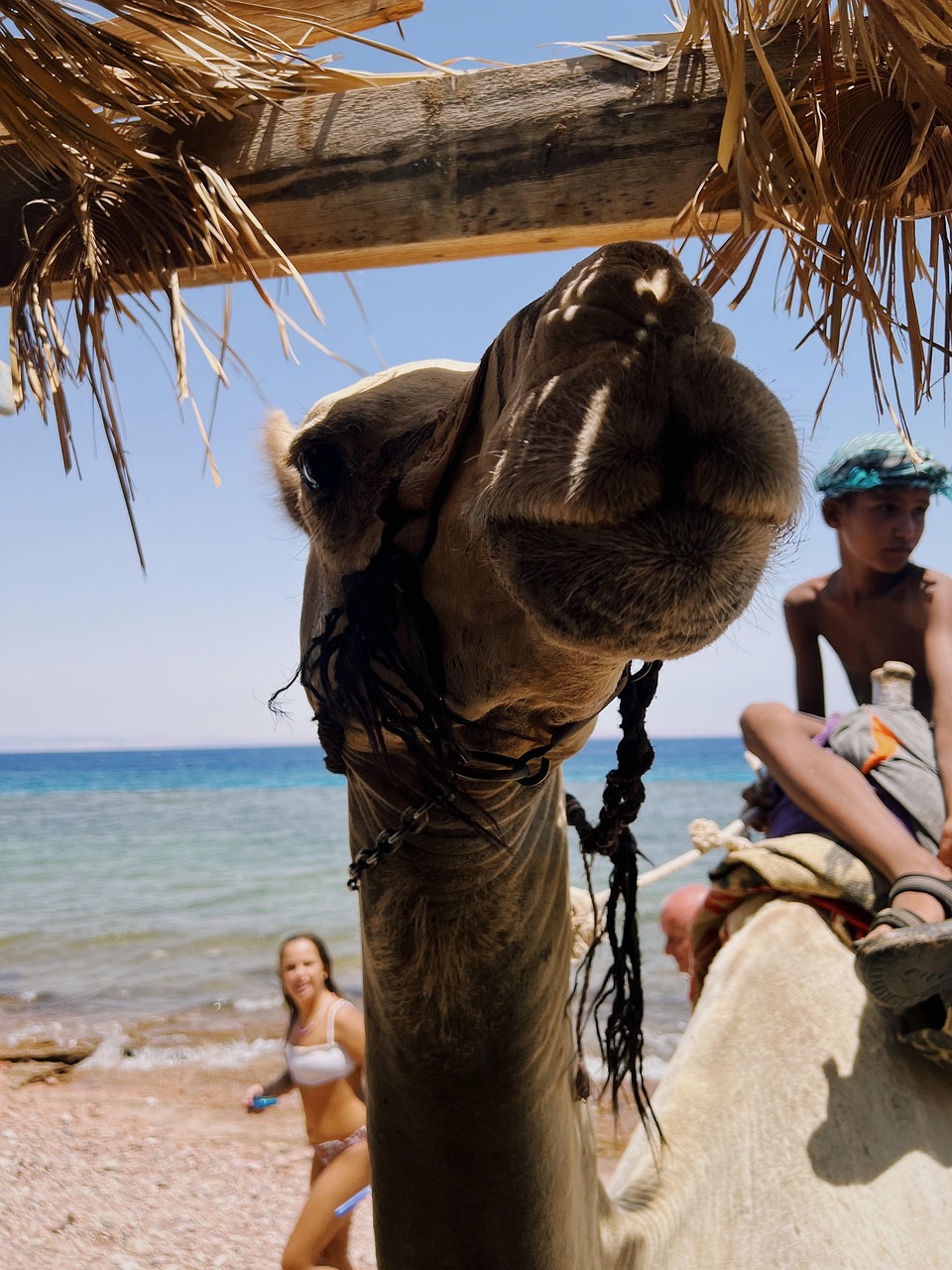 Dahab