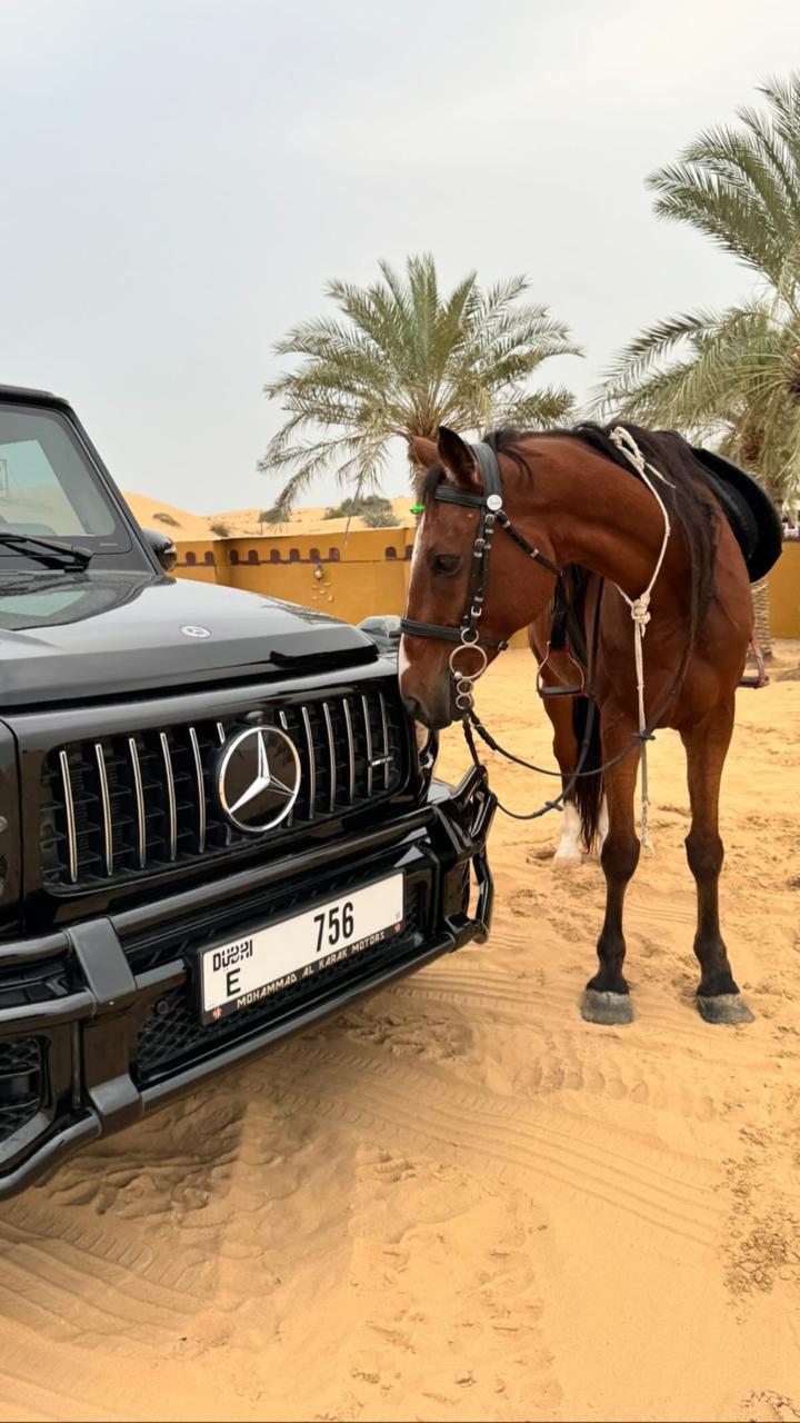 All Desert Safari Packages Compared: Side-by-Side Guide