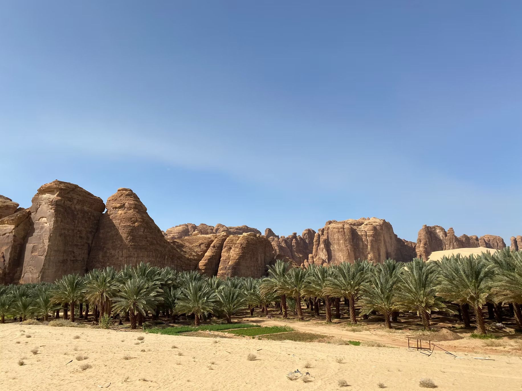 Discover Unforgettable Journeys with Deira Tours