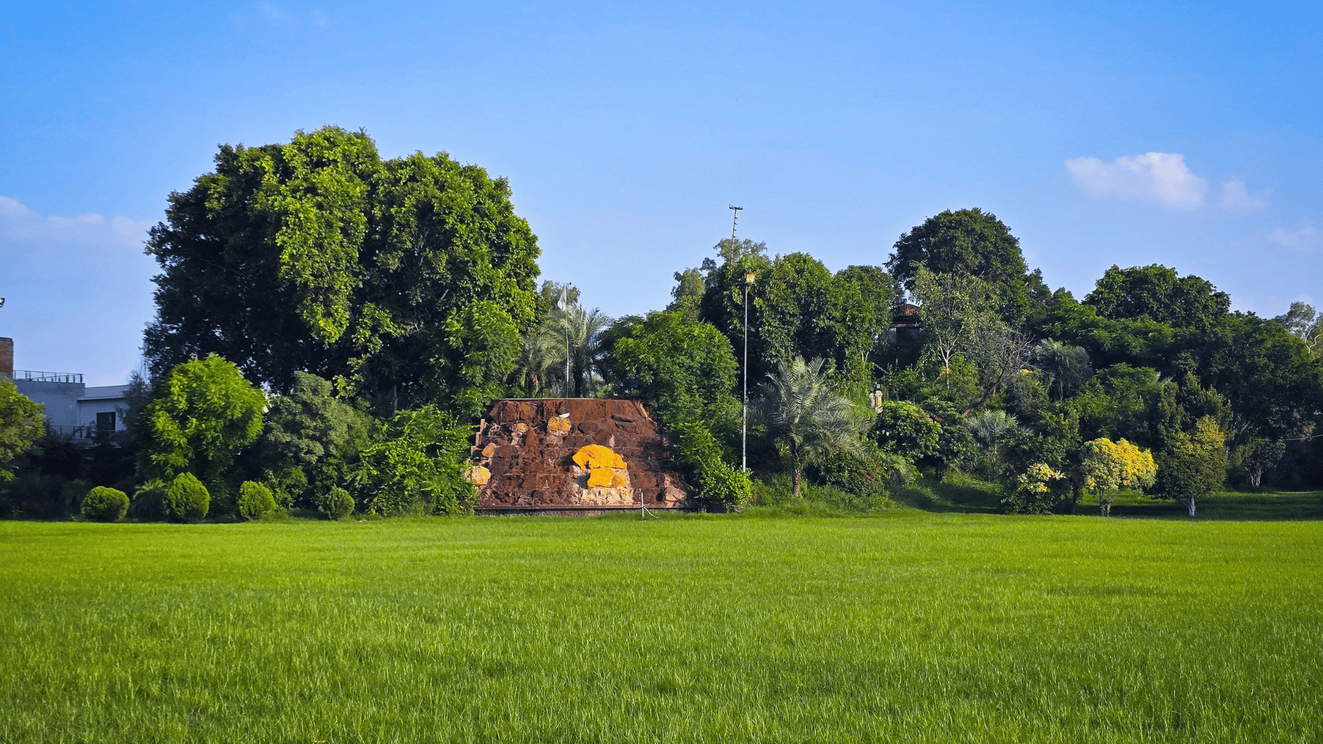 Al Baha's Coffee Trail: Discovering Arabia's Arabica Roots