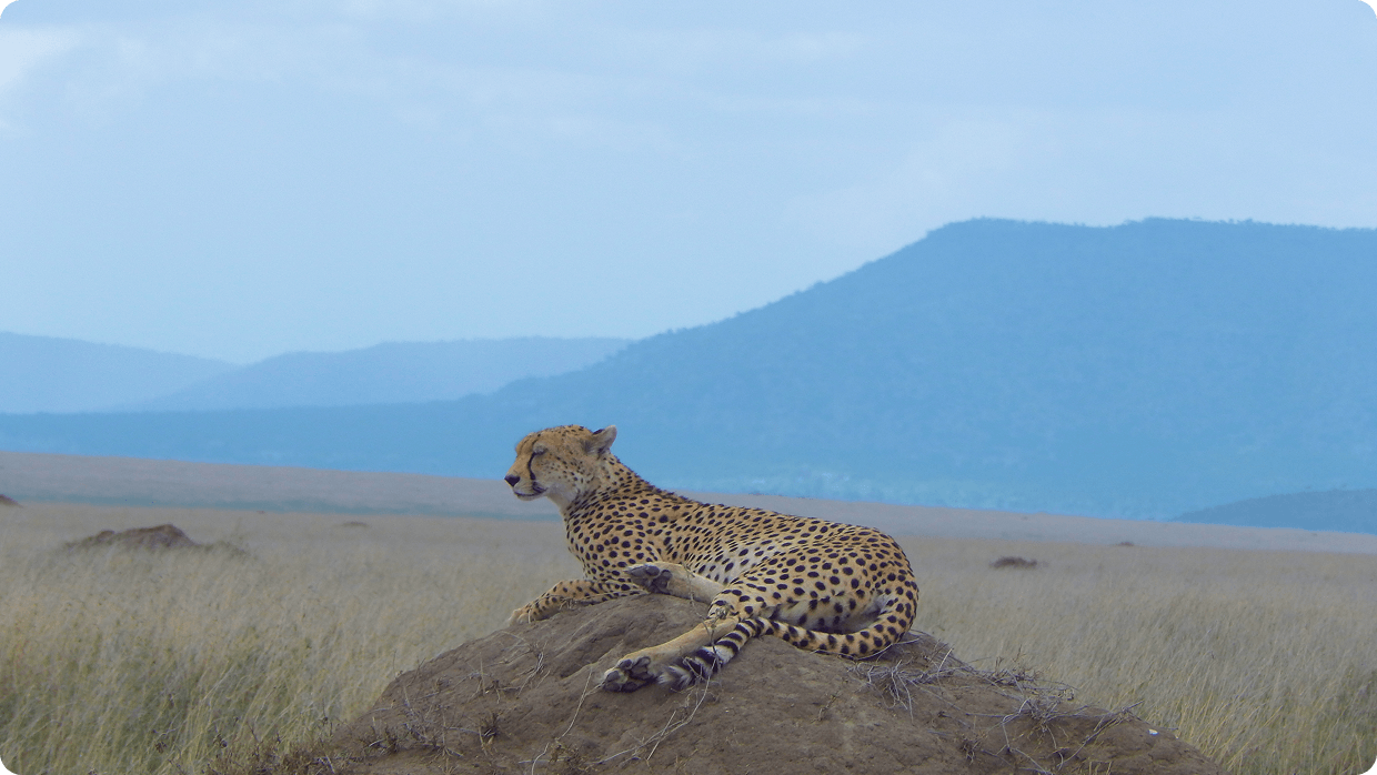 Love where you are going Allday in Africa