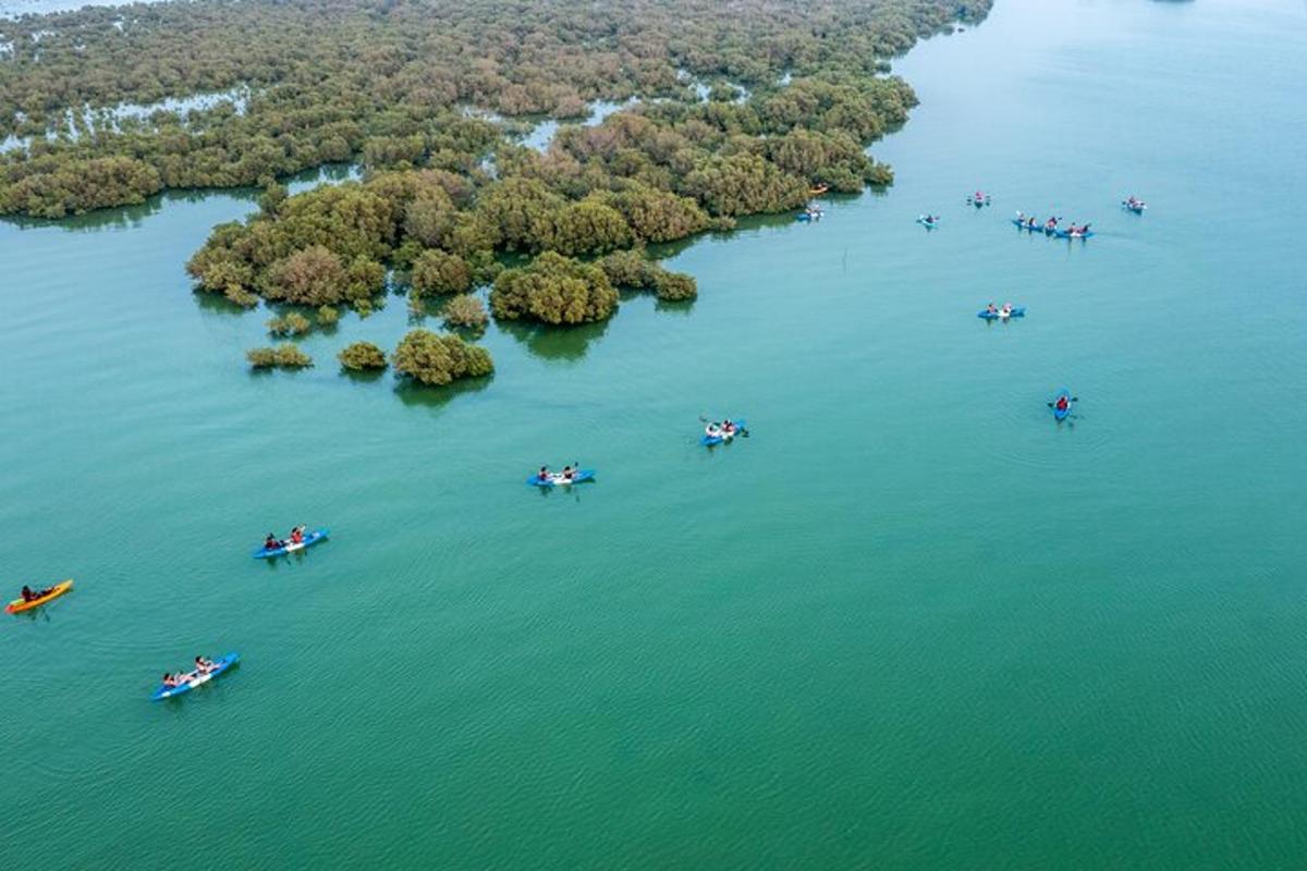 Purple Island Mangrove Kayaking: Find the Best Tide Times in Qatar