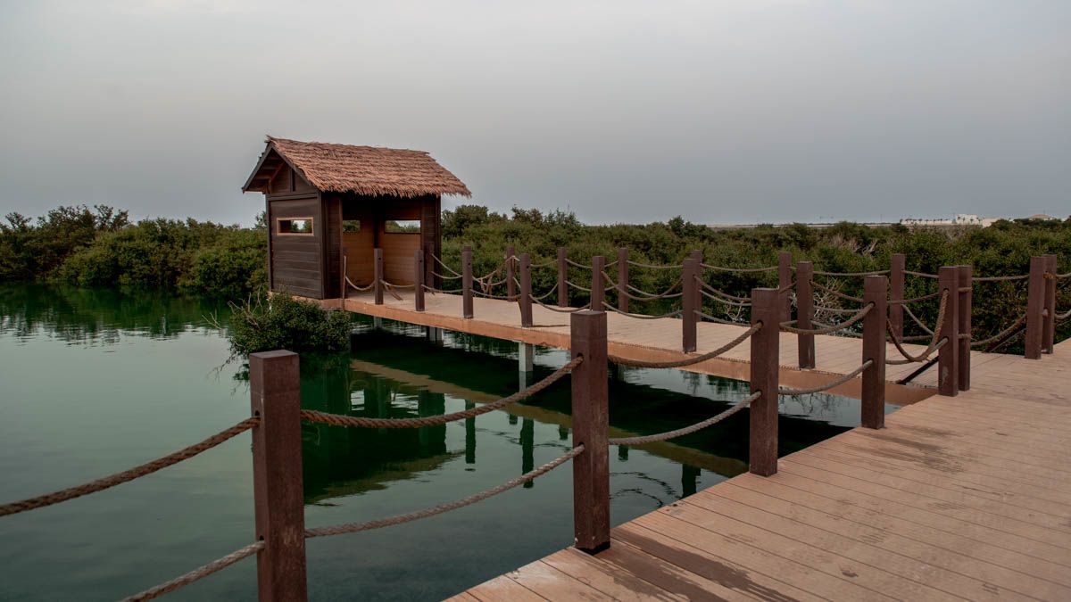 Nature tours in Qatar