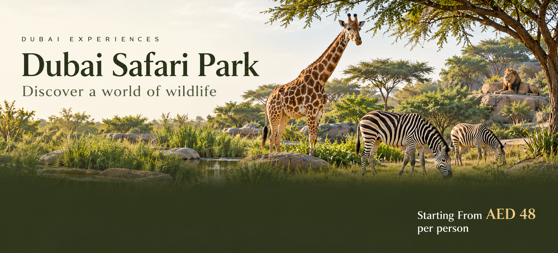 Dubai Safari Park Exprience