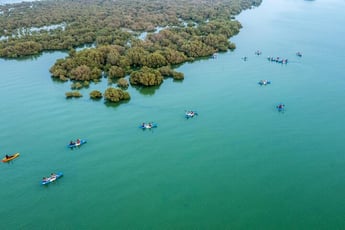 Purple Island Mangrove Kayaking: Find the Best Tide Times in Qatar