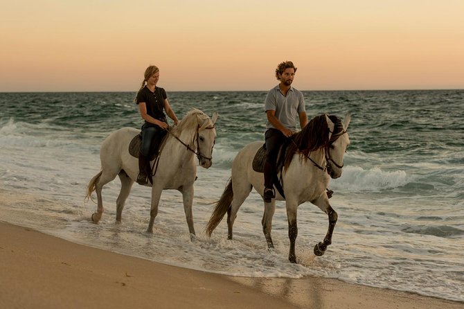 Discover Qatar, Your Way