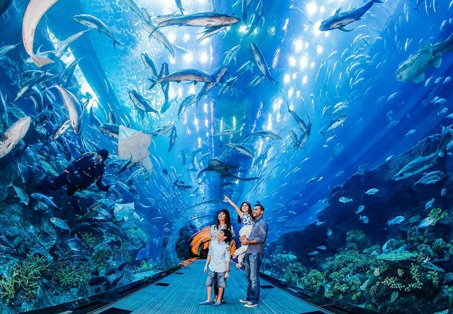 Planning the Perfect Day Trip to the Zoo in Dubai